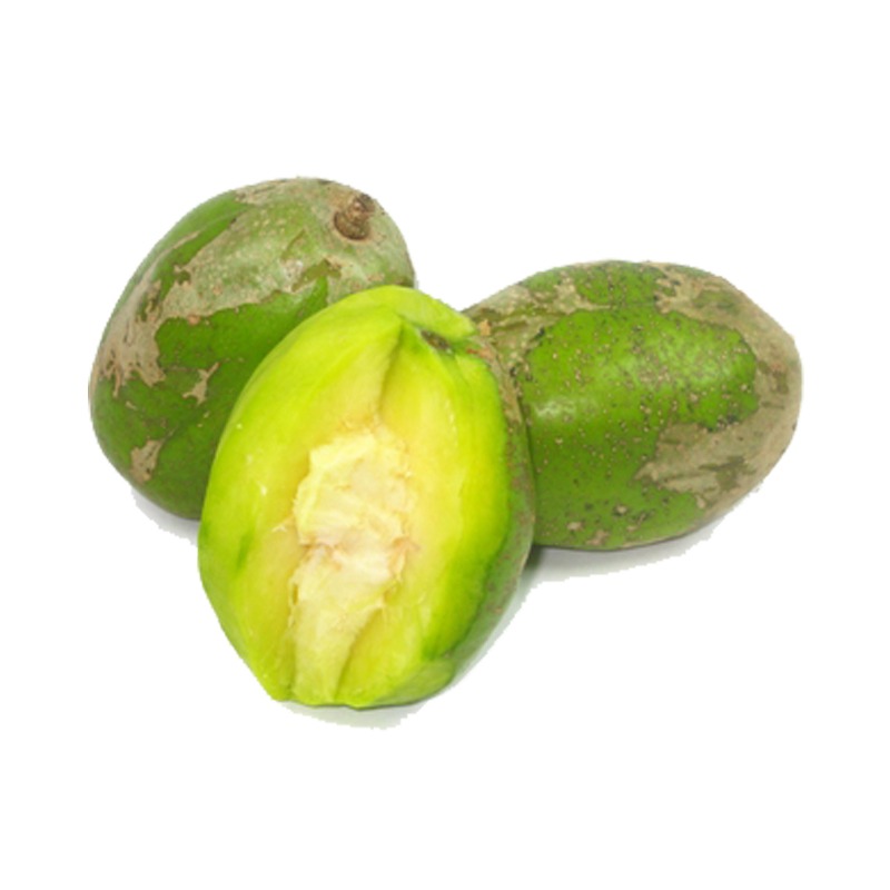 Cóc Xanh Size 4 trái Hộp 500g Cóc Xanh Size 4 trái Hộp 500g - Ảnh 1